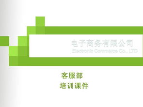 電子商務(wù)客服培訓(xùn) 以卓越服務(wù)驅(qū)動(dòng)在線業(yè)務(wù)增長(zhǎng)